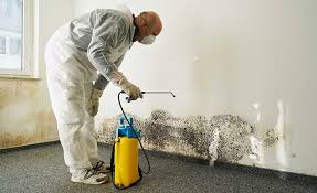 Biohazard Mold Removal in New Square, NY