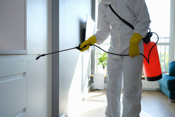 Why You Should Choose Our Mold Remediation Services in New Square, NY